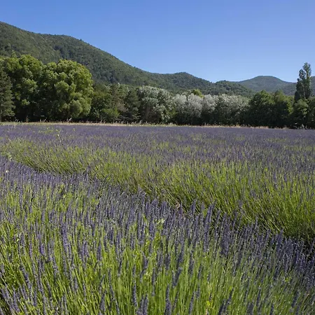 La Permaculturelle - Domaine Des Ramières * Le Poët-Laval